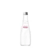 Água Mineral Evian Sem Gás 330Ml