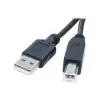Cabo De Dados Usb 2.0 Macho X B Macho 1.8 Metros Preto Evus Cabo De Dados Usb 2.0 Macho X B Macho 1.8 Metros Preto Evus