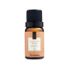 Essência Aromatizante Canela Da Índia 10mL Via Aroma Essência Aromatizante Canela Da Índia 10mL Via Aroma