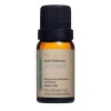 Essência Aromatizante Clássica Alecrim Silvestre 10Ml Nova Essência Aromatizante Clássica Alecrim Silvestre 10Ml Nova