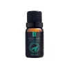 Essência Aromatizante Mundo Noronha Musk Oceanico 10mL Essência Aromatizante Mundo Noronha Musk Oceanico 10mL