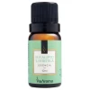 Essência Aromatizante de Eucalipto Hortela 10ml Via Aroma Essência Aromatizante de Eucalipto Hortela 10ml Via Aroma