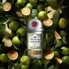 Gin Tanqueray Rangpur Lime 700ml Gin Tanqueray Rangpur Lime 700ml