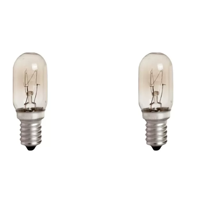 Kit 2 Lâmpada Incandescente T22 15W E14 220V G-Light Novo