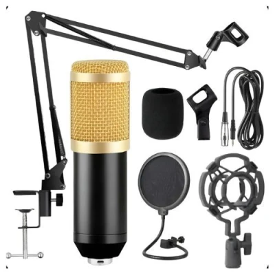 Microfone Dobrável Com Braço Articulado Modelo BM800 Profissional