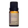 Óleo Essencial 10ml Lavanda Natural Via Aroma Aromaterapia Óleo Essencial 10ml Lavanda Natural Via Aroma Aromaterapia