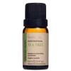 Óleo Essencial 10ml Tea Tree Melaleuca Via Aroma Puro Nova Óleo Essencial 10ml Tea Tree Melaleuca Via Aroma Puro Nova