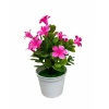 Planta Artificial Rosa Com Vaso 16X7Cm Modelo Im46234 Planta Artificial Rosa Com Vaso 16X7Cm Modelo Im46234