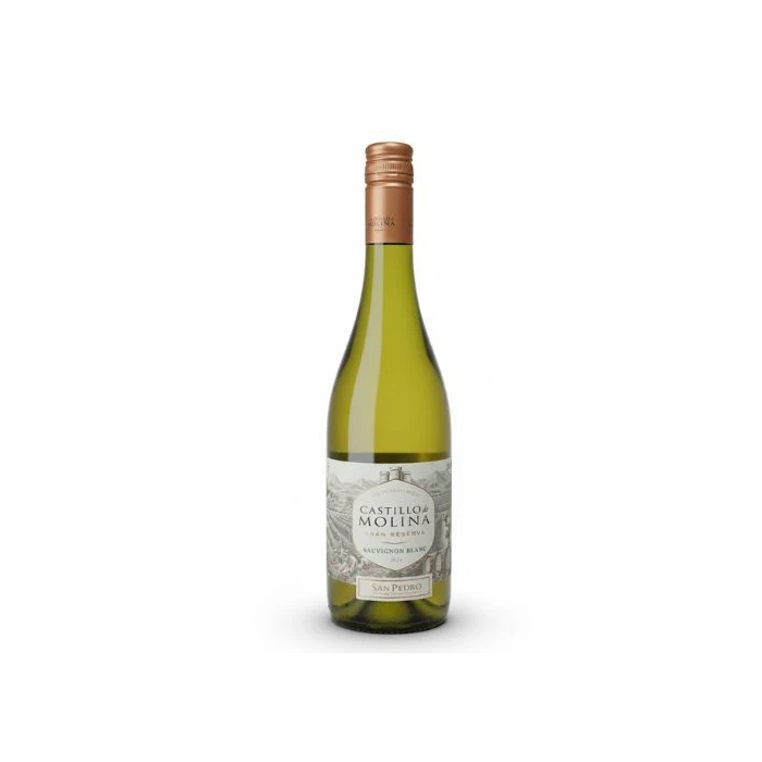 Vinho Branco Castillo De Molina Sauvignon Blanc 750ml Seco Chile