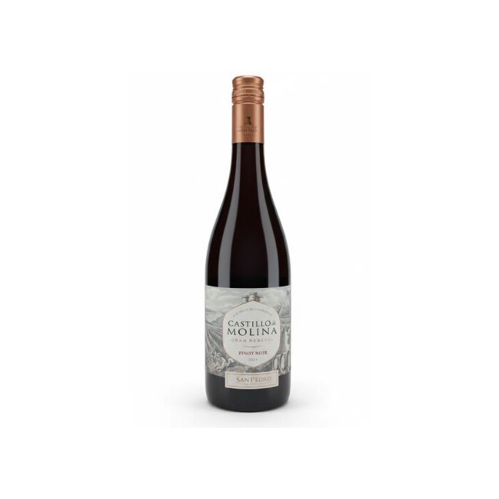 Vinho Tinto Chileno Castillo De Molina Gran Reserva Pinot Noir
